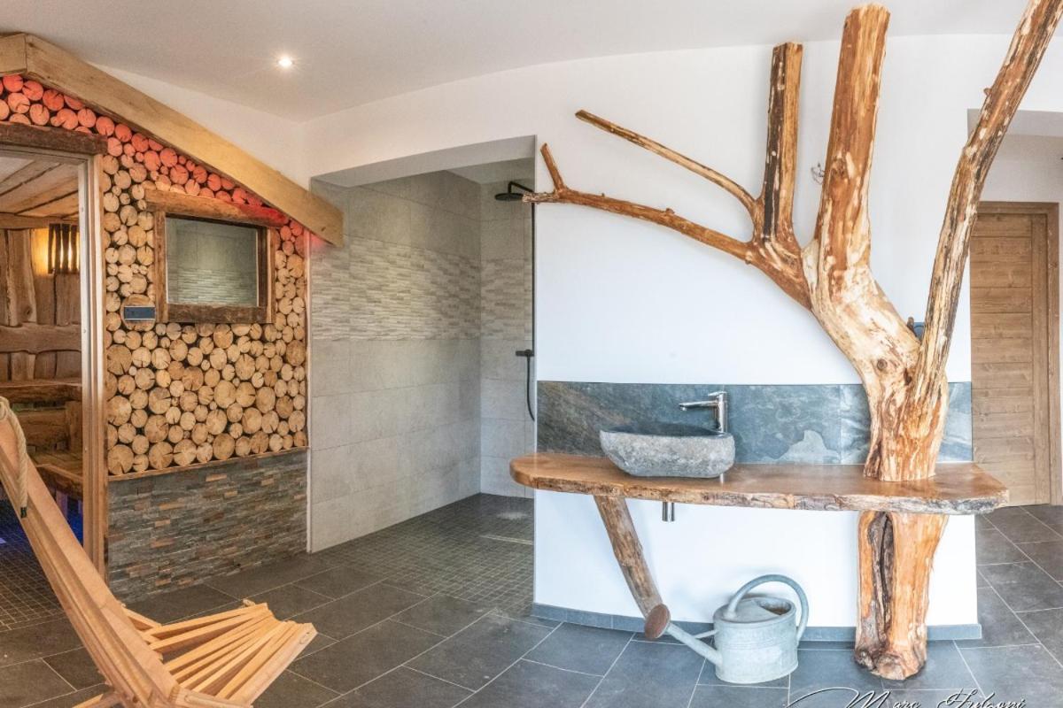 Chalet Le Pourquoi Pas Villa La Bresse Kültér fotó