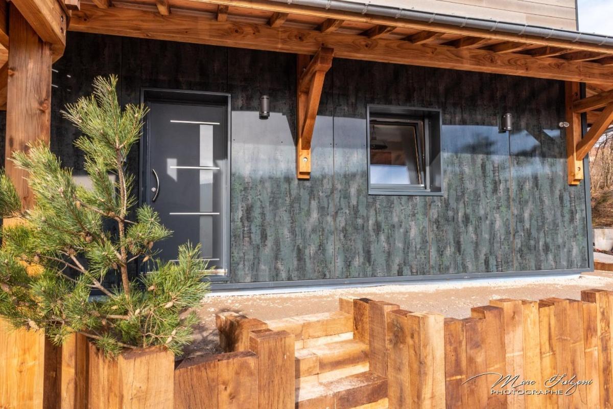 Chalet Le Pourquoi Pas Villa La Bresse Kültér fotó